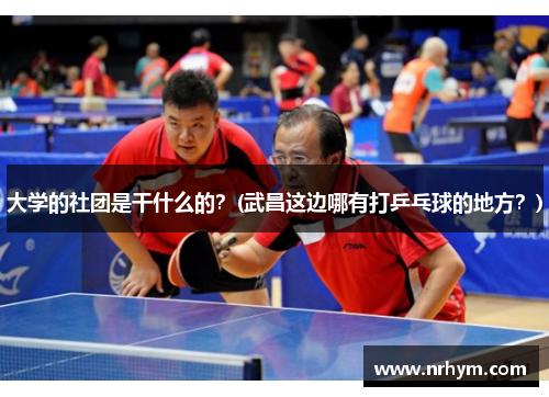 大学的社团是干什么的？(武昌这边哪有打乒乓球的地方？)