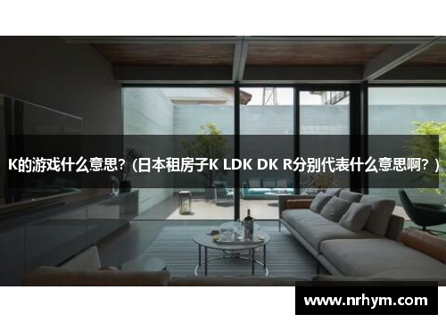 K的游戏什么意思？(日本租房子K LDK DK R分别代表什么意思啊？)